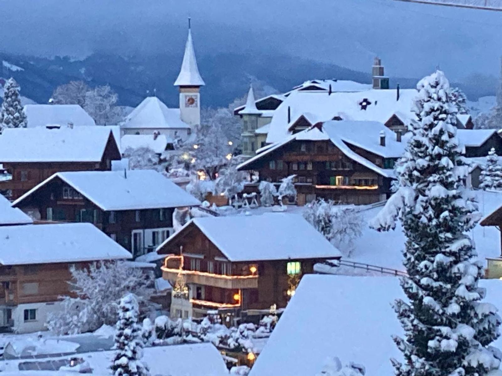 Chalet Egglen "Typical Swiss House, Best Views, Private Jacuzzi" Sigriswil Extérieur photo