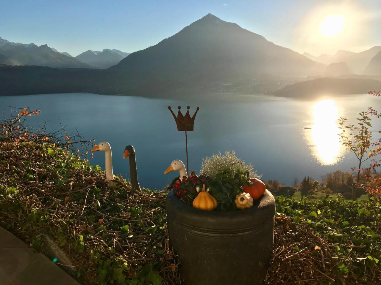 Chalet Egglen "Typical Swiss House, Best Views, Private Jacuzzi" Sigriswil Extérieur photo