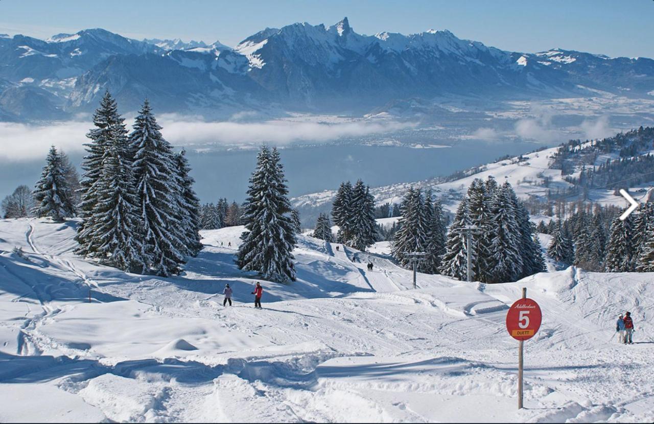 Chalet Egglen "Typical Swiss House, Best Views, Private Jacuzzi" Sigriswil Extérieur photo